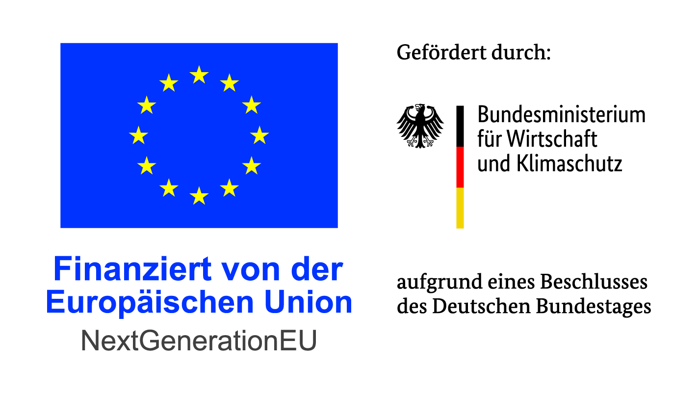 BMWK-EU_Gefo╠&ecirc;rdert2023_de_CMYK.jpg